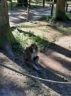 IMG-20230908-WA0026