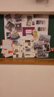 IMG-20250212-WA0018